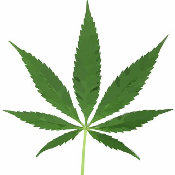 Содержание марихуаны от 50 дикорастущая конопля химка